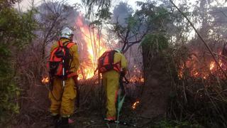 ¿Quién detendrá el fuego?, por Manuela Lavinas Picq