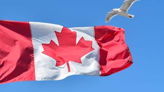 ¿Quieres migrar a Canadá como estudiante internacional? Te contamos cuánto cuesta y más detalles