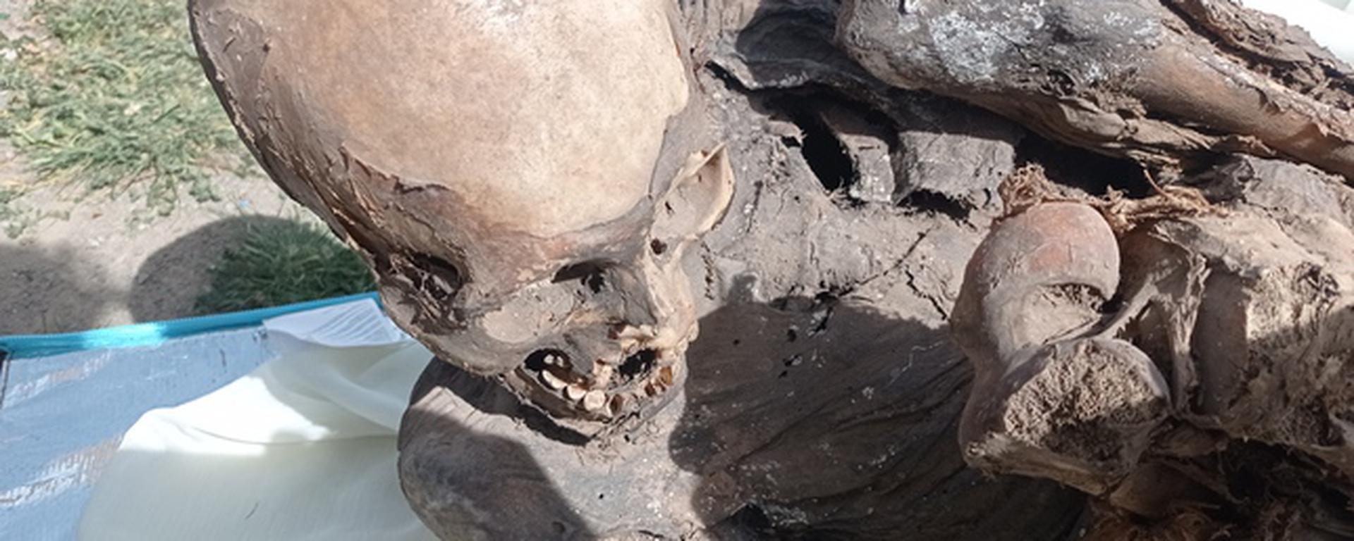 Puno: ¿Cómo terminó una momia prehispánica en la mochila de repartidor? Todo lo que debes saber 