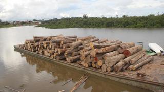 Madera ilegal incautada a orillas de río en Loreto [Fotos]