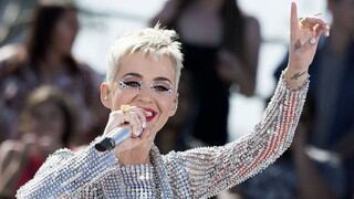 Katy Perry: ¿quién es el modelo que se hizo pasar por novio de la cantante?
