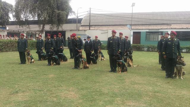 El adiestramiento se desarrolló en la sede de la Policía Canina, en el Rímac, y tuvo una duración de siete semanas. (Difusión)