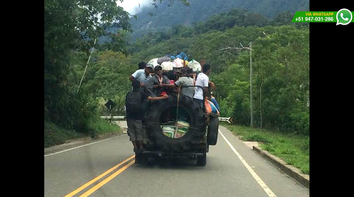 WhatsApp: hasta nueve viajan colgados de un camión en Tarapoto - 3