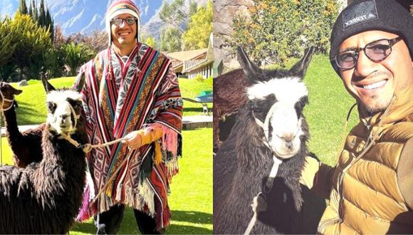 Lapadula se tomó una fotografía con un camélido sudamericano durante sus vacaciones en Cusco. (Foto: Gianluca Lapadula / Instagram)