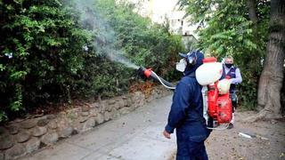 Gobierno declara en emergencia sanitaria a 13 regiones del país por brote de dengue