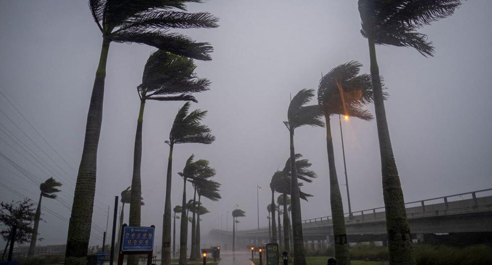 El viento mueve las palmeras en Charlotte Harbor, Florida, antes de la llegada del huracán Ian el 28 de septiembre de 2022. (Ricardo ARDUENGO / AFP).