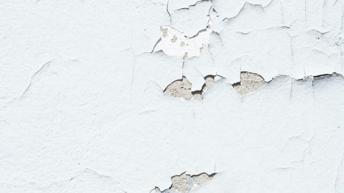 Trucos caseros para eliminar definitivamente la humedad de las paredes  ¡Aplica estos sencillos trucos!, Life hacks, RESPUESTAS