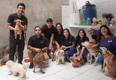 WUF: Andeanvet realiza donación de alimento y productos veterinarios