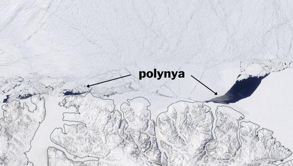 En mayo de 2020, se observó por primera vez una polinia de 3.000 kilómetros cuadrados al norte de la isla de Ellesmere. (NASA EOSDIS WORLDVIEW)