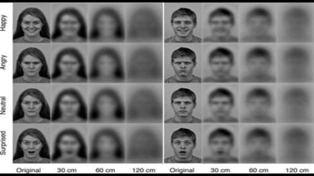 Los recién nacidos pueden percibir expresiones del rostros - 2