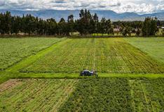 Sector agrícola peruano: ¿Cuáles son los pendientes para potenciar las agroexportaciones al 2050?