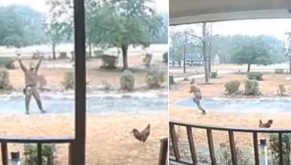 Un gallo fue captado tratando de impedir que un repartidor se acerque a su casa. (Foto: AJ Taylor / Facebook)