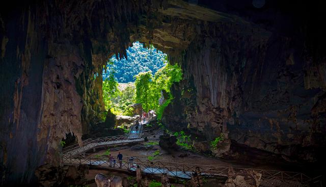 Visita la Cueva de las Lechuzas. Allí también habita el sapo de cristal. Foto: Shutterstock