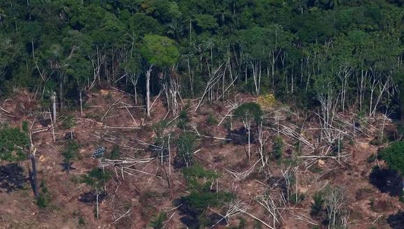 La deforestación en la Amazonía brasileña ha sufrido un aumento del 41%  en mayo. (Foto de archivo: Amanda Perobelli / Reuters