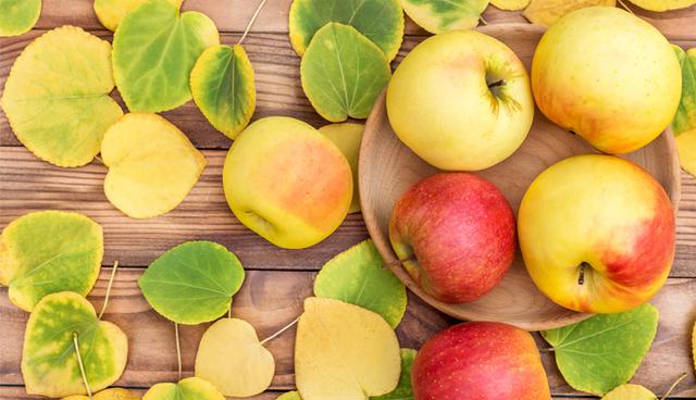 ¿Sabías todos los beneficios que comer manzanas le da tu salud? (Foto: Shutterstock)