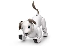 Sony crea un programa para adoptar perros robots