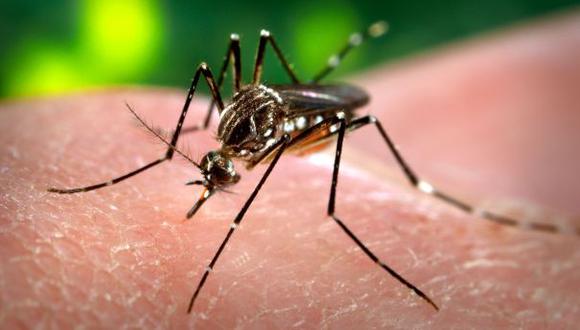 Más de 22 mil casos de dengue se han reportado en el 2016