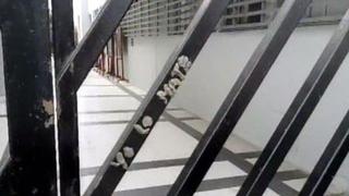 Crimen en San Marcos: hallan sospechoso mensaje en facultad