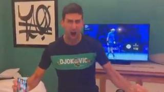 Novak Djokovic enloqueció con la clasificación de Serbia al Mundial | VIDEO