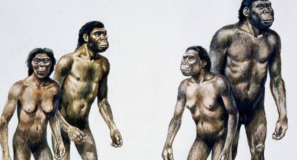 Aseguran que antepasados de hace entre 45.000 y 25.000 años: perseguían las mismas especies, las explotaban igual y aprovechaban los mejores ejemplares. (Foto: Getty Images)