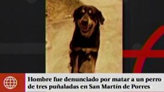 SMP: sujeto mató a puñaladas a un perro frente a niños