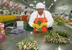 Perú: agroexportaciones sumaron US$ 2,702 mllns entre enero y julio