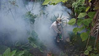 Minsa: Gobierno destina S/16 millones para combatir el dengue