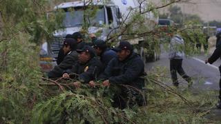 Ica volvió a la normalidad tras levantamiento de la huelga de mineros