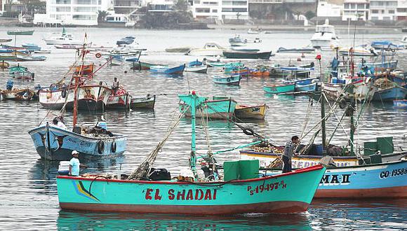 Sector pesquero generó 221 mil puestos de trabajo en 2013