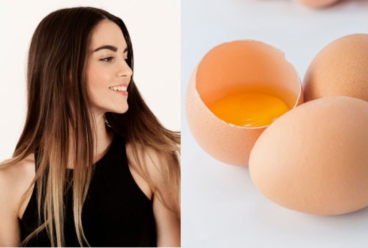 El tratamiento con huevo para el cabello es considerado como un gran remedio natural (Foto: Freepik)