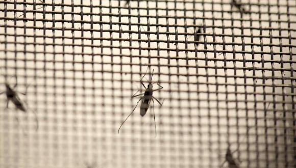 Zika: Tailandia preocupada por microcefalia en recién nacidos