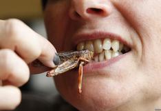 Comer insectos: ¿por qué son más nutritivos que el pollo o la carne?
