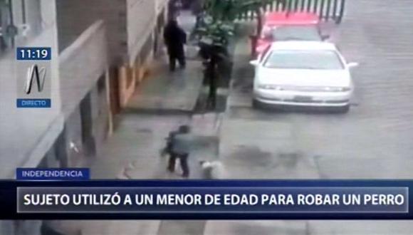 Marta Alvarado se encuentra muy triste por el robo de su perrita, por tal razón ha iniciado la búsqueda de su mascota. (Video: Canal N)