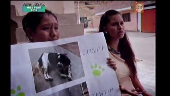 Suman 76 los perros que murieron envenenados en Cañete