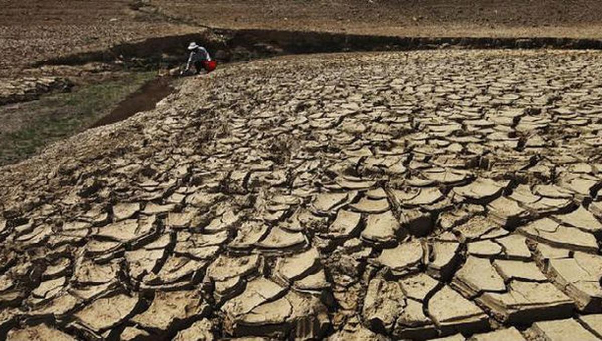 Escasez de agua afecta cada vez más la vida en países africanos