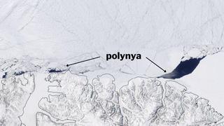 Detectan un enorme agujero en el hielo más antiguo y grueso del Ártico