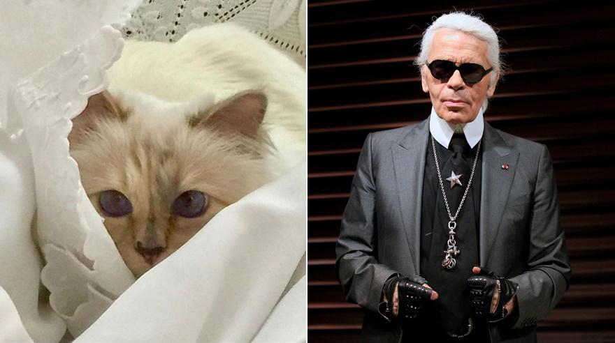 Choupette, la gata de Karl Lagerfeld. (Foto: Instagram)