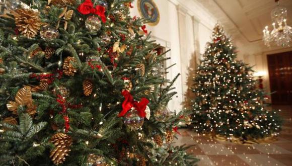 Durante estos días hemos preparado nuestras casas para recibir las fiestas de fin de año. Además del pesebre y de los adornos característicos de Papá Noel o el niño Jesús, uno de los elementos decorativos más importantes en la fiesta decembrina es el árbol de Navidad.