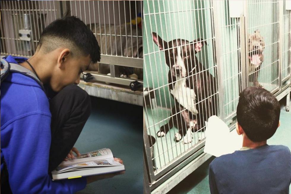 Evan es un niño de 10 años que prefiere pasar sus fines de semana leyendo historias a los perros de un refugio. (Foto: Instagram)