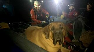 Facebook viral | Perro gordito fue rescatado de una montaña porque se había cansado de caminar 