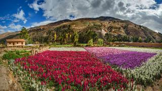 Junín: 10 destinos que debes visitar en esta región del Perú