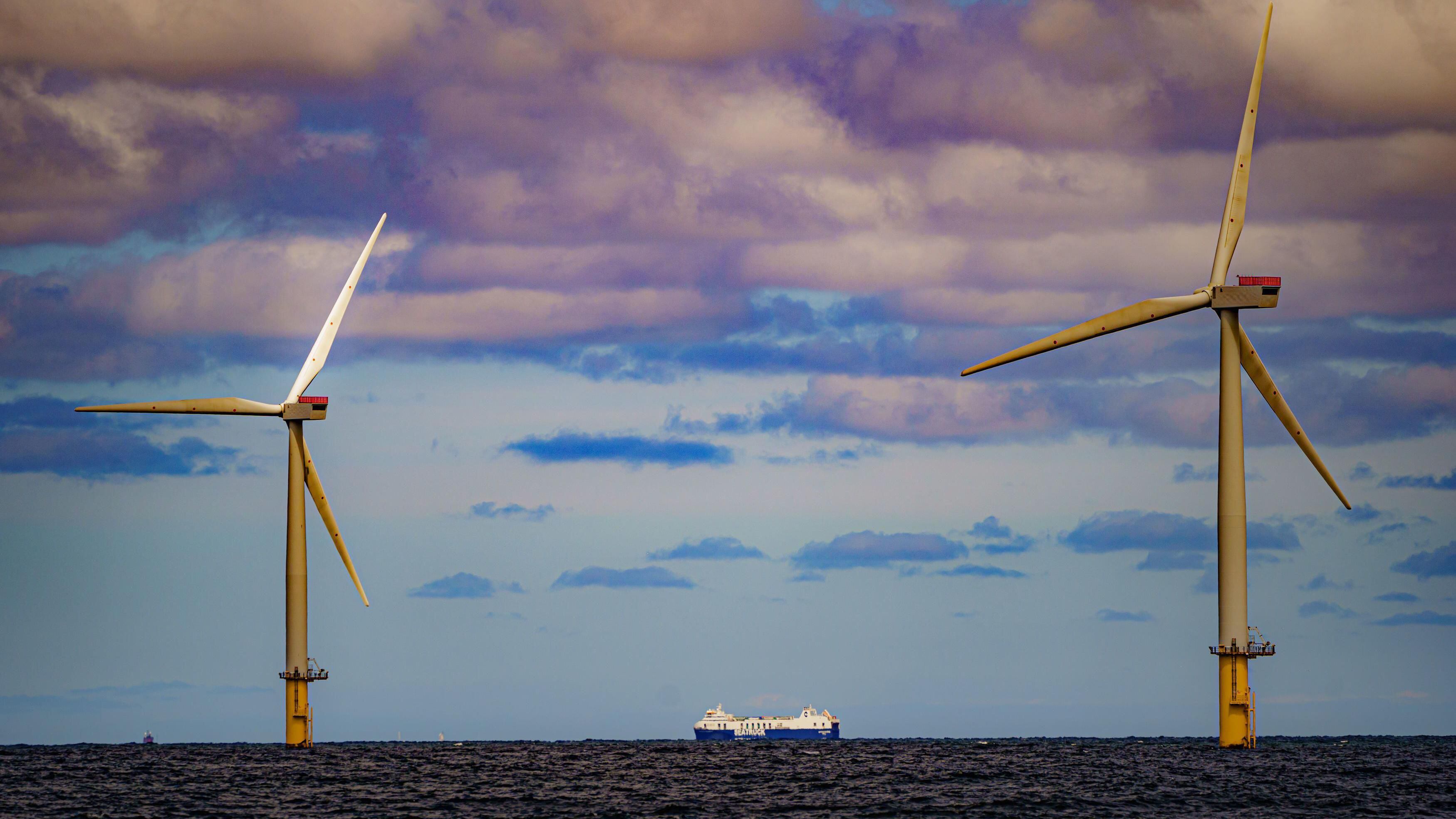 Wind farms produce green energy.