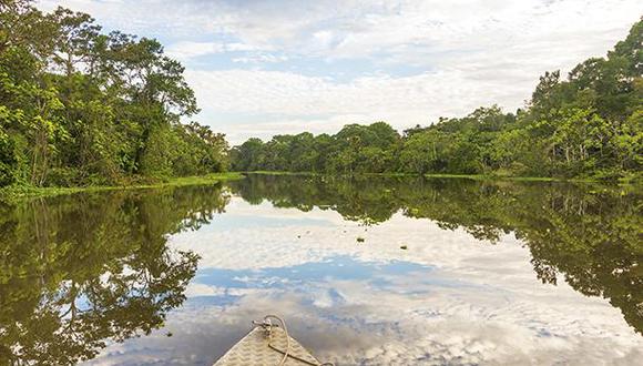 Descubre las actividades que puedes hacer en Iquitos de manera gratuita. (Foto: IStock)