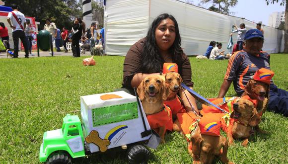 Las personas que se dedican al paseo de mascotas deberán acreditarse ante la Municipalidad de Miraflores. (Imagen referencial/Archivo/GEC)