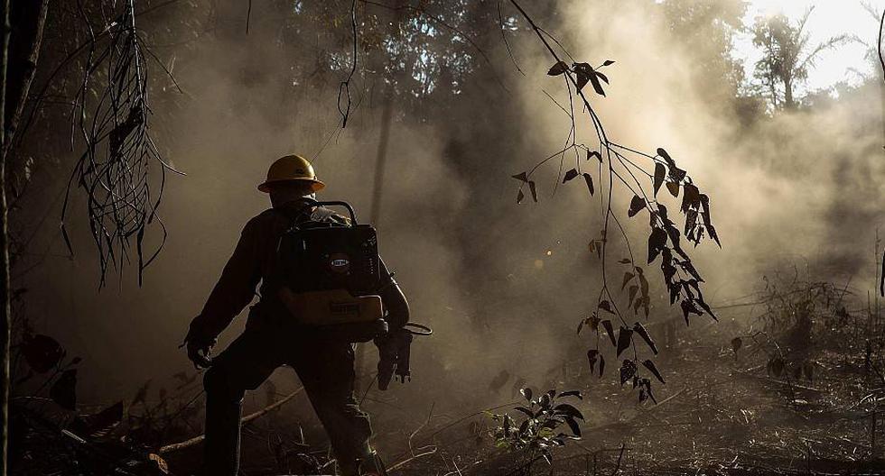 Incendio en el Amazonas:  bomberos del Prevfogo, una brigada forestal del Ibama formada por indígenas de la etnia Tenhari, mientras participan en la extinción de un incendio. (Foto: EFE/ Fernando Bizerra Jr)