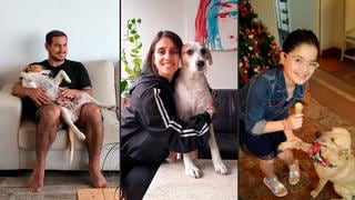 ¿Adoptar un perro en pandemia? Tres adoptantes de WUF nos cuentan su historia