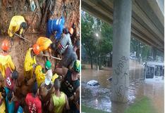 Brasil: Mueren sepultadas catorce personas tras fuertes lluvias