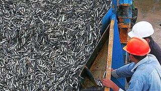 Rusia reabrió mercado para 18 proveedores de pescado peruano