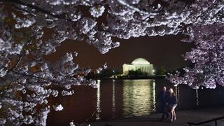 Llegó la primavera: Siete destinos para disfrutarla al máximo