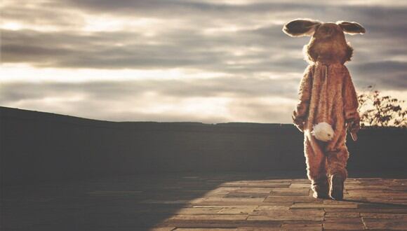 Una trifulca tuvo como participante al 'Conejo de Pascua'. (Foto: Pixabay/Referencial)